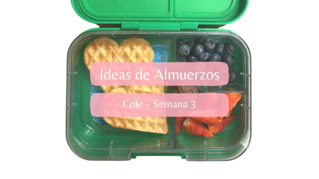 Ideas de Almuerzo para una semana de Cole - 3