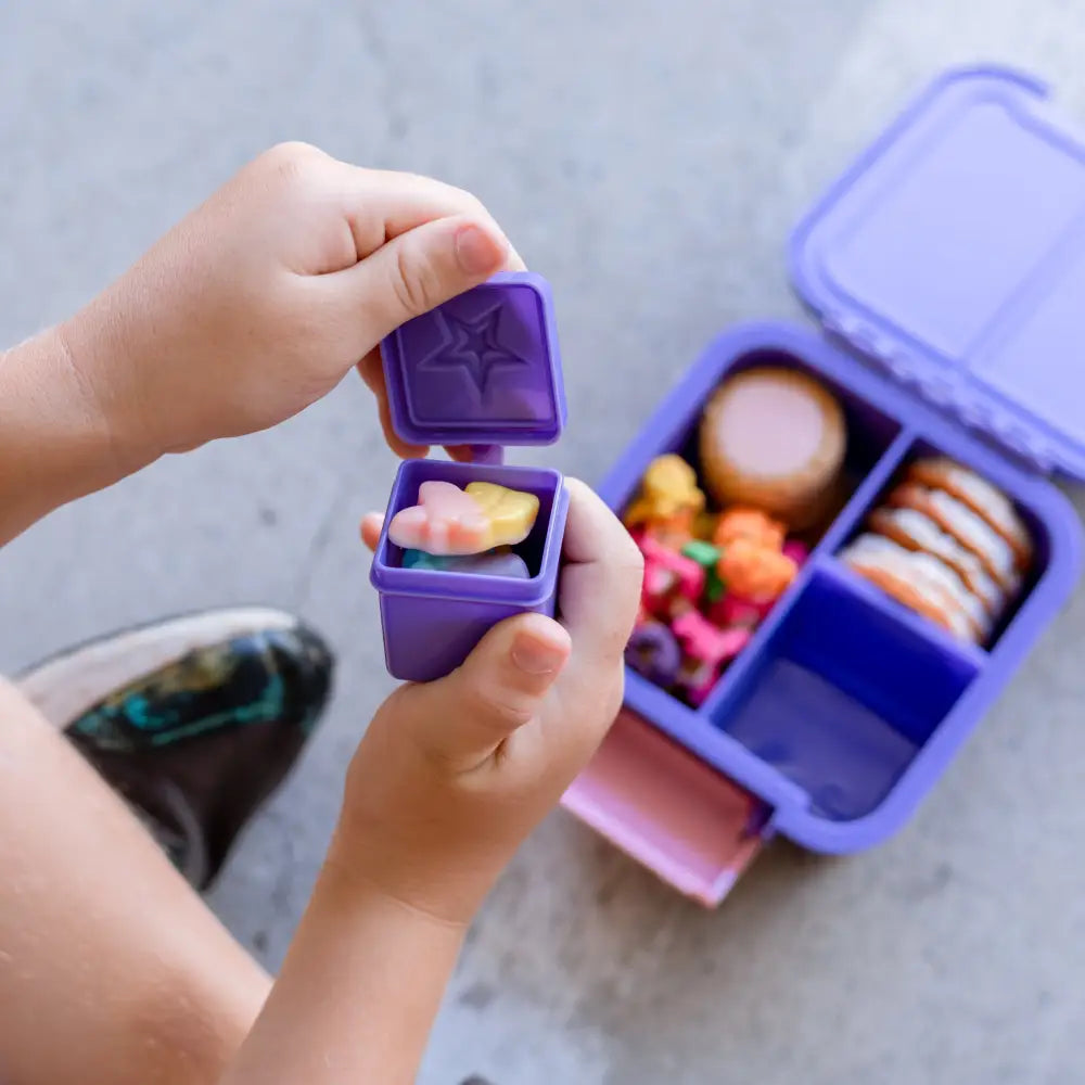 Cajas Bento Sorpresa Set de 2 Little Lunch Box Co - Grape