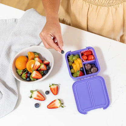 Fiambrera Bento 2 Little Lunch Box Co - Grape - Morado